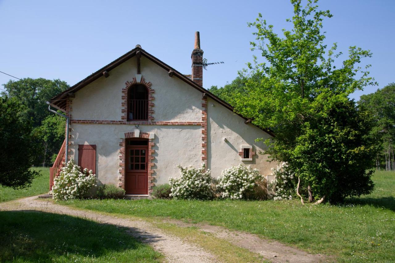 Domaine De La Trigaliere Villa Ambillou Exteriör bild